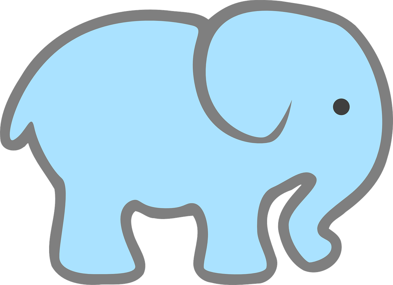 elephant baby blue free photo