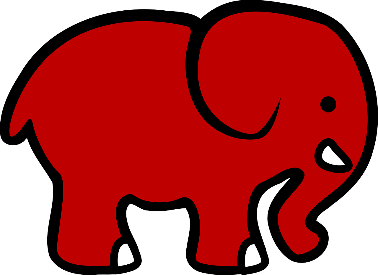 elephant profile red free photo