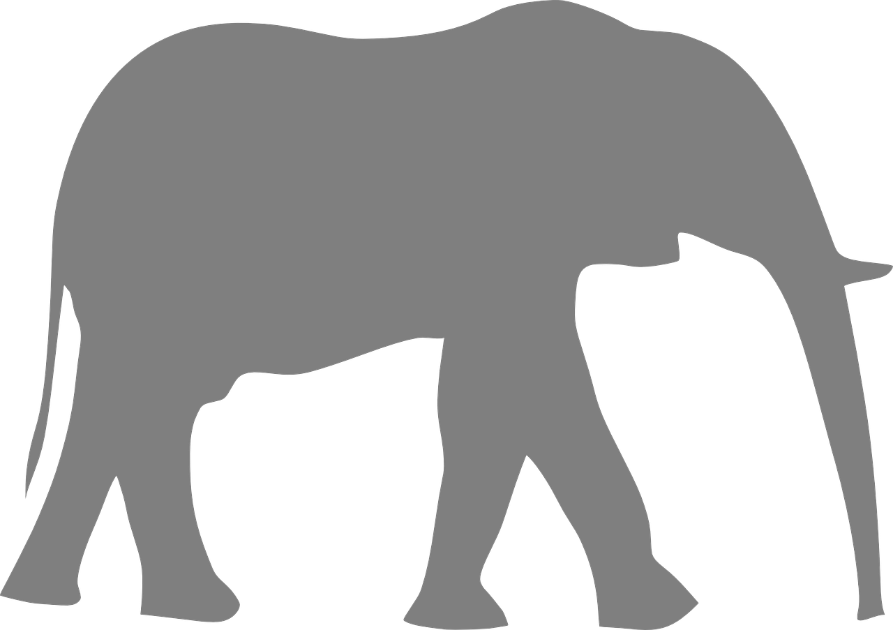 download-free-photo-of-elephant-walk-gray-silhouette-animal-from