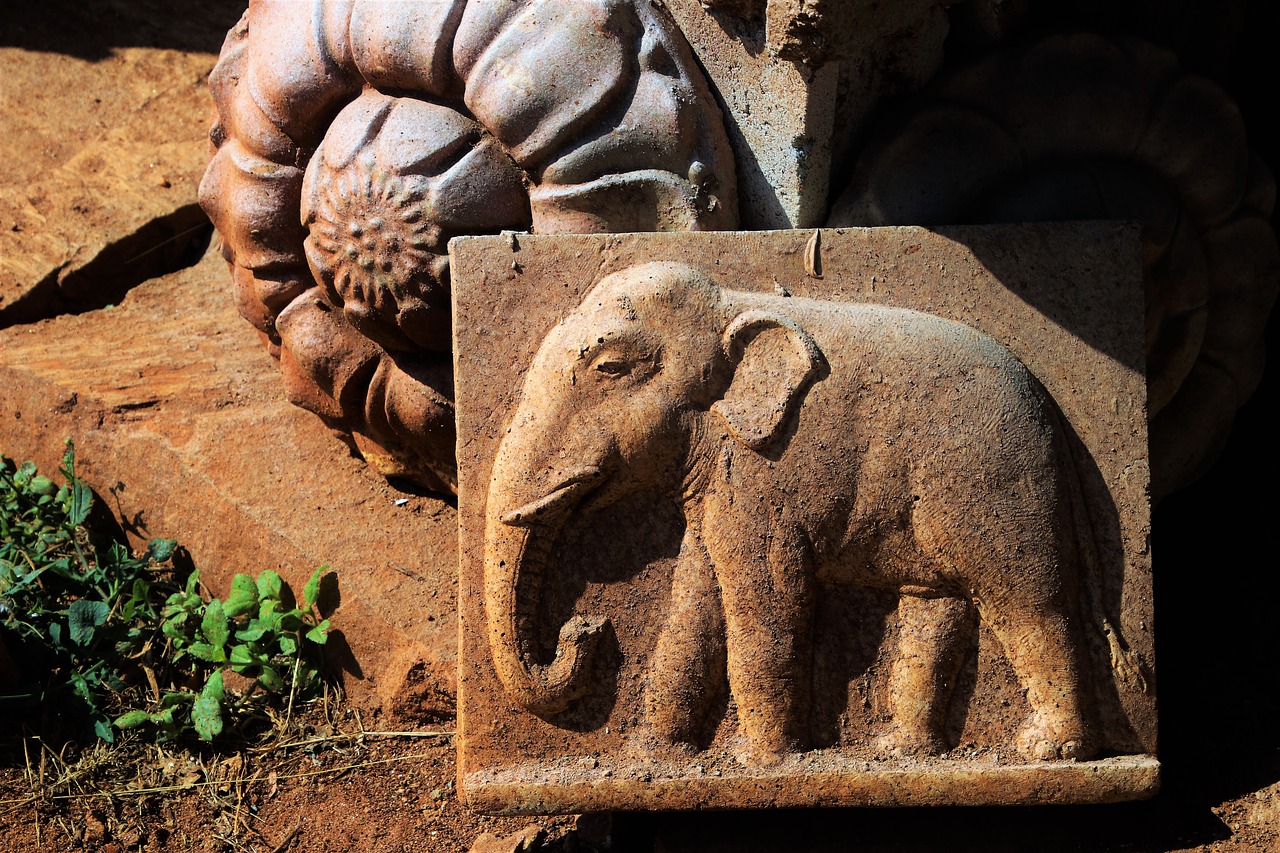 elephant culture sri lanka free photo