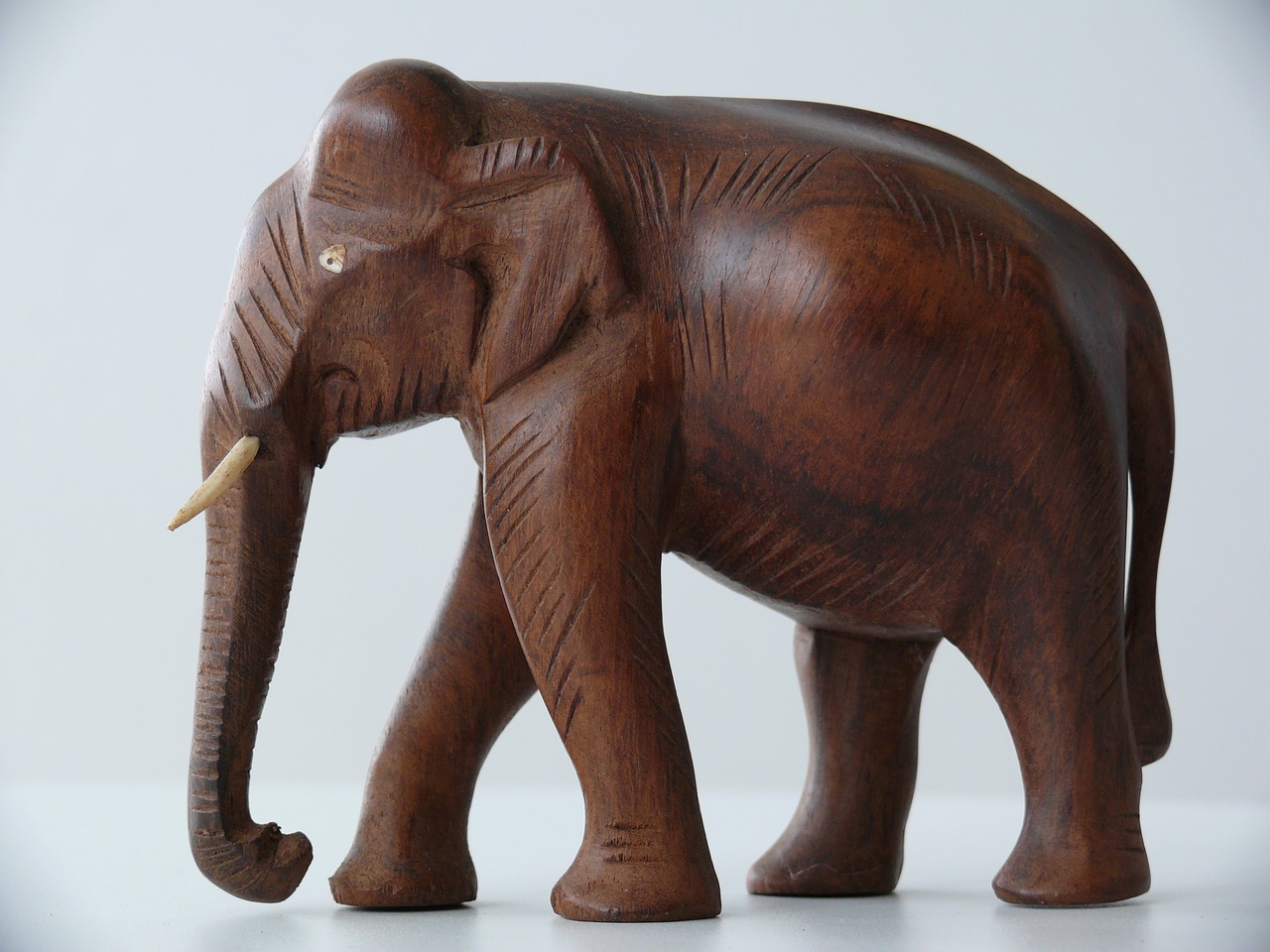elephant  statue  india free photo