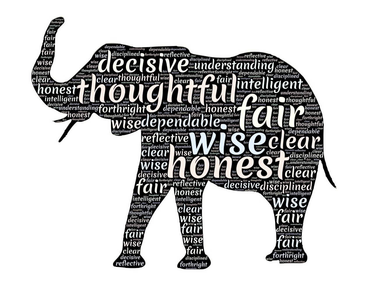 elephant totem animal qualities free photo