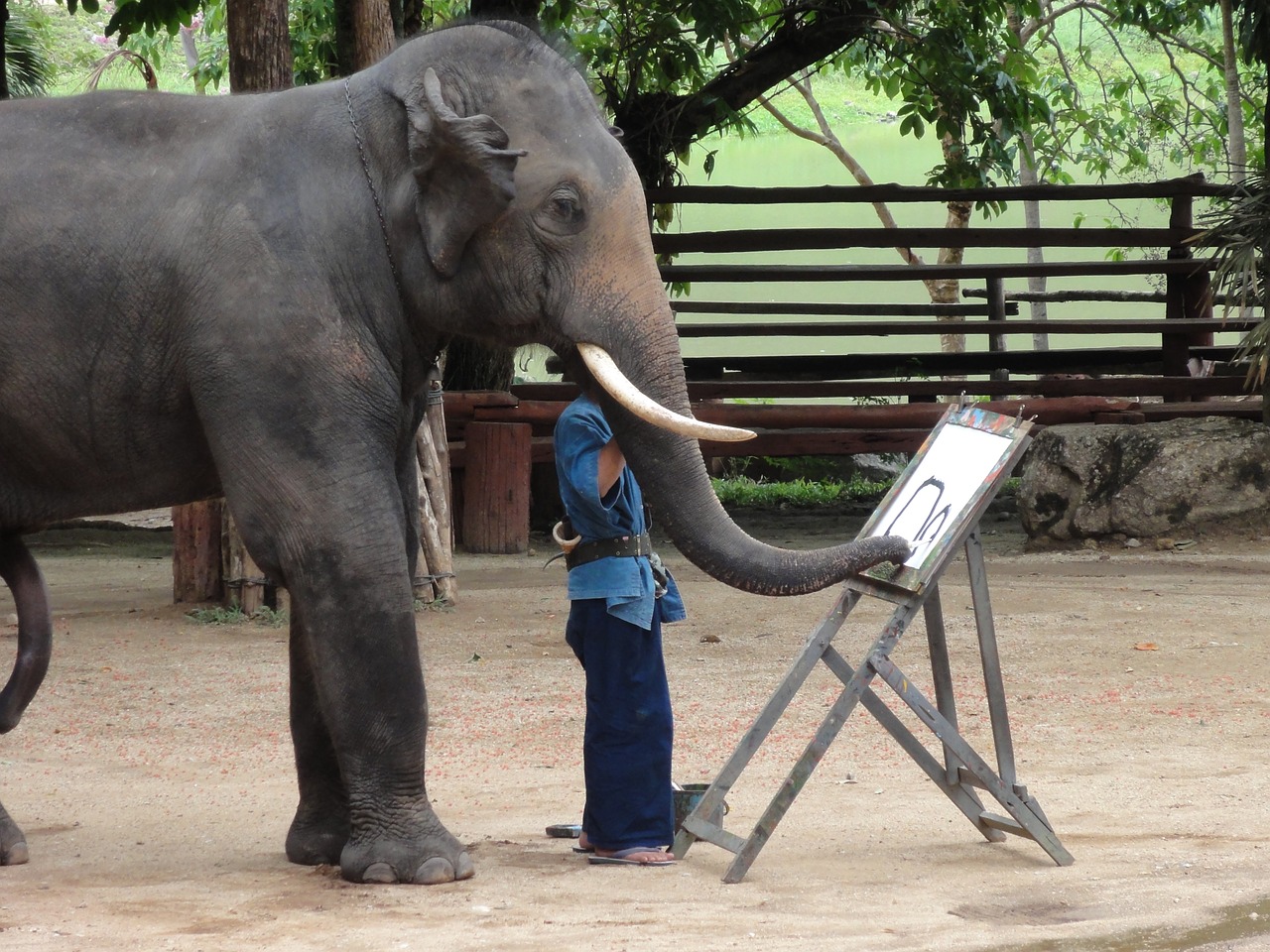 elephant paint thailand free photo