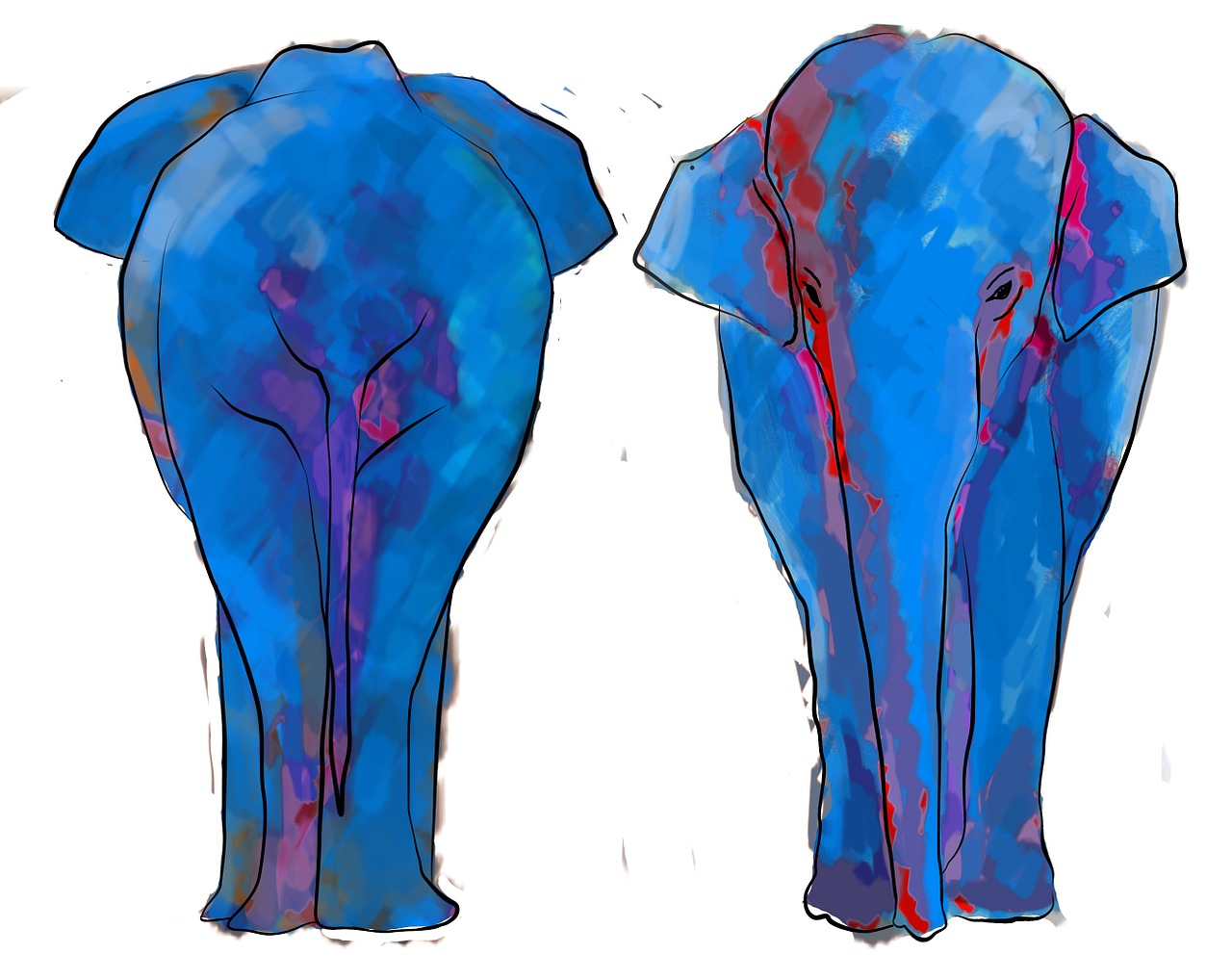 elephant illustration colors free photo
