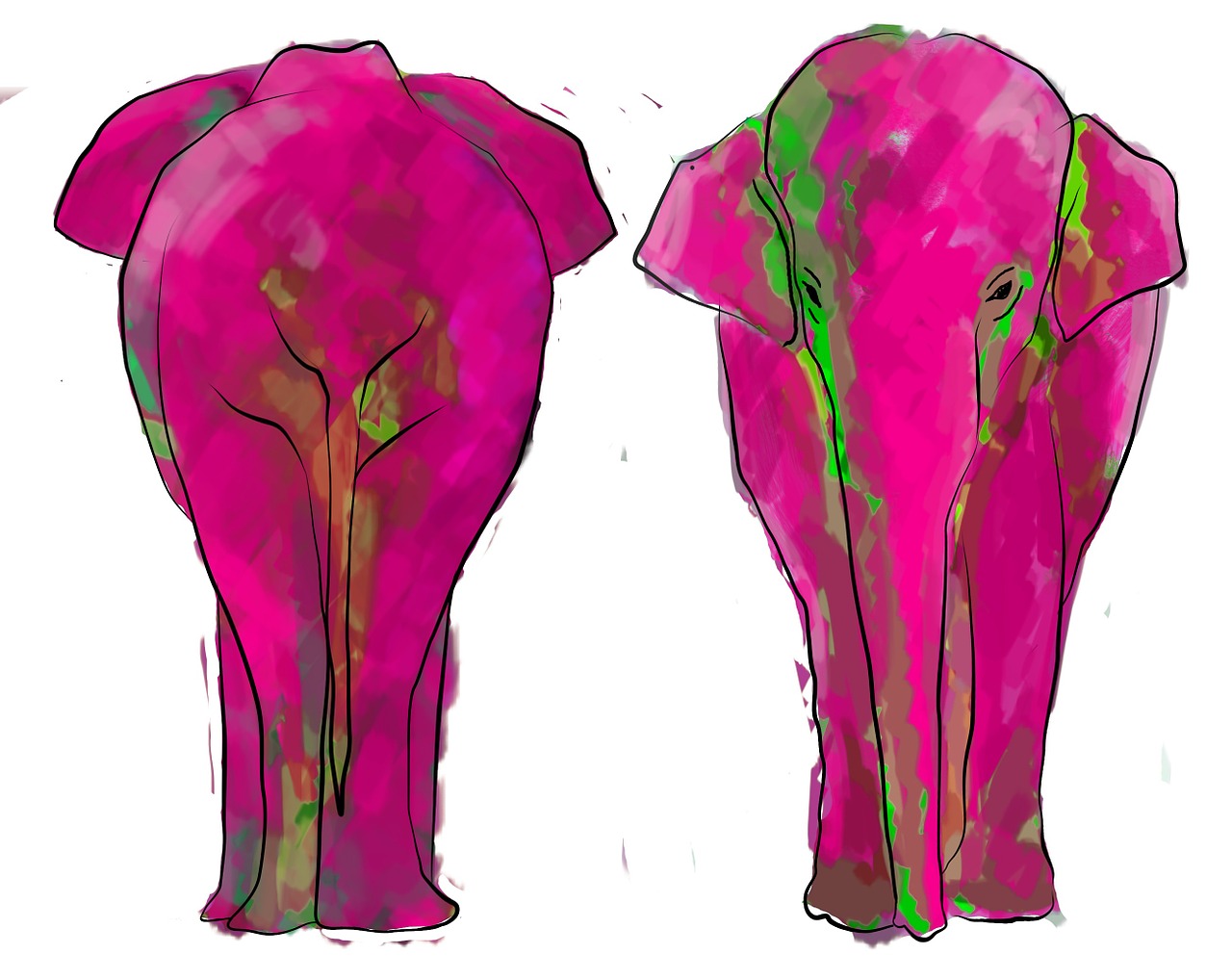 elephant illustration colors free photo