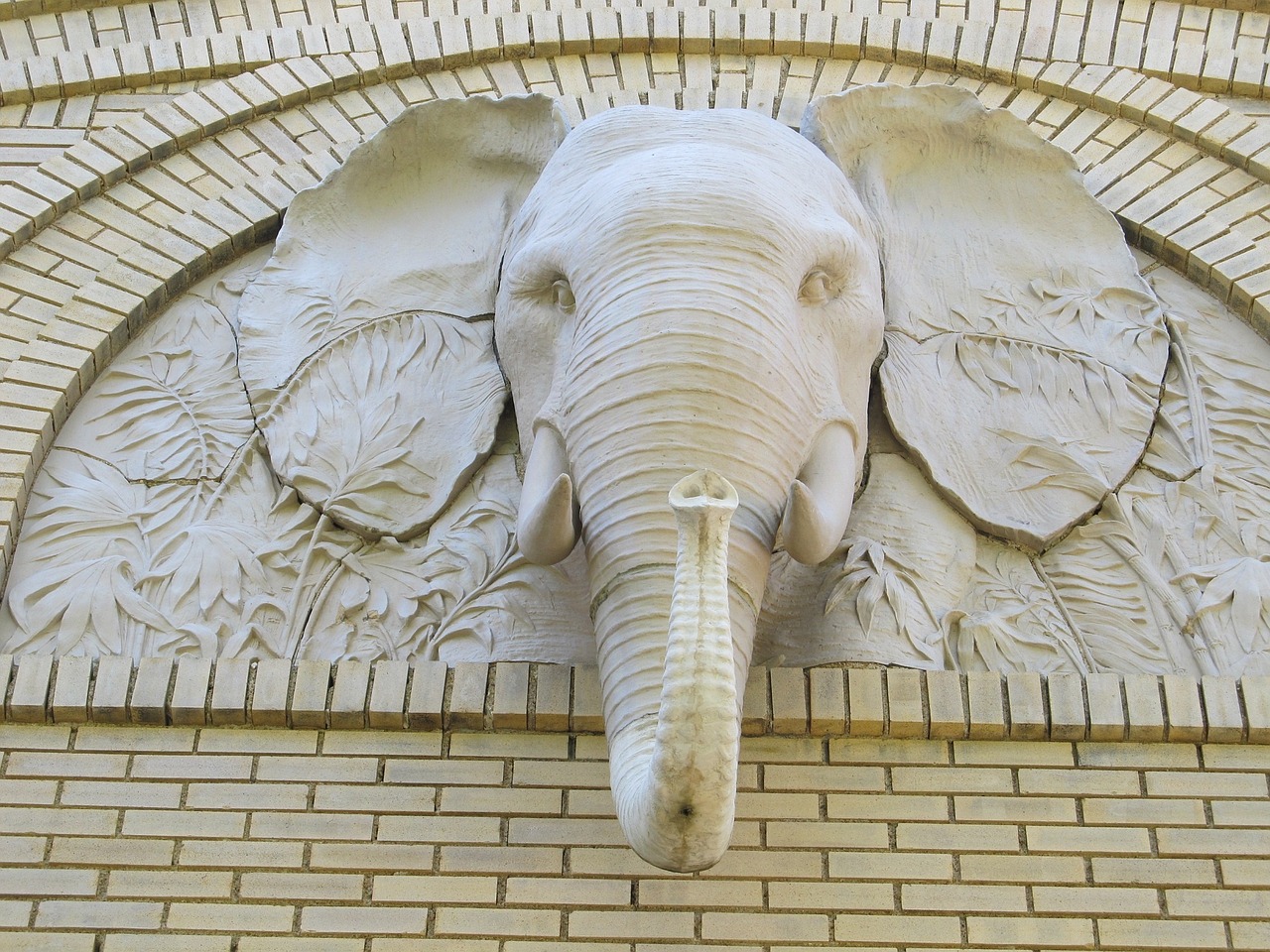elephant head ornament free photo