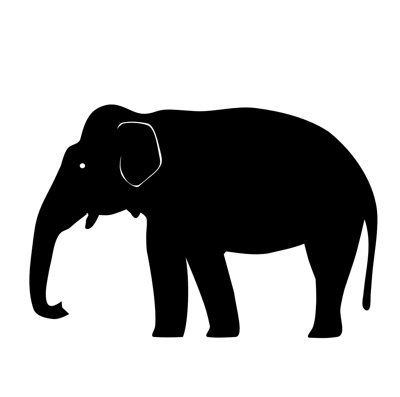 elephant asian silhouette free photo