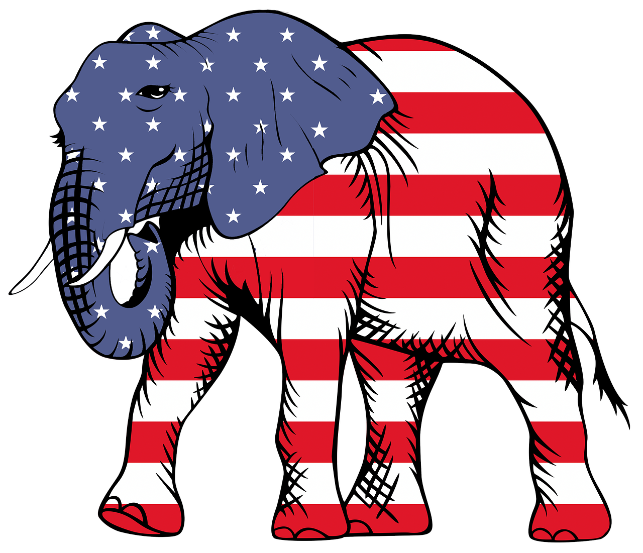 elephant usa american free photo