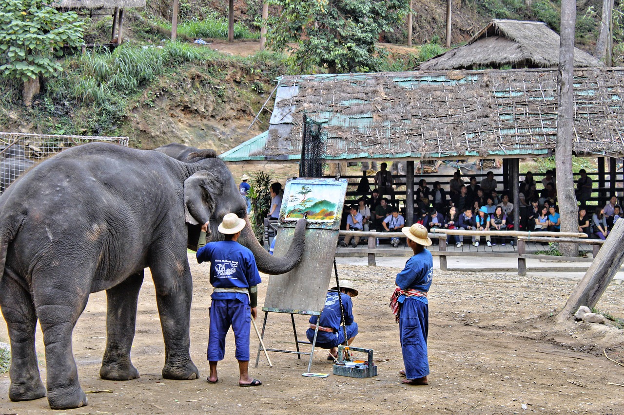 elephant artist thailand free photo