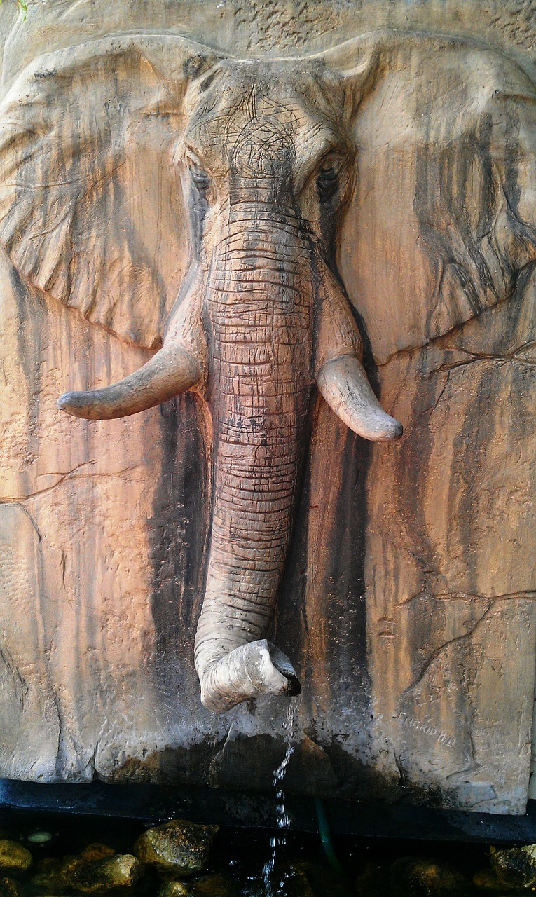 elephant head fountain south africa free photo