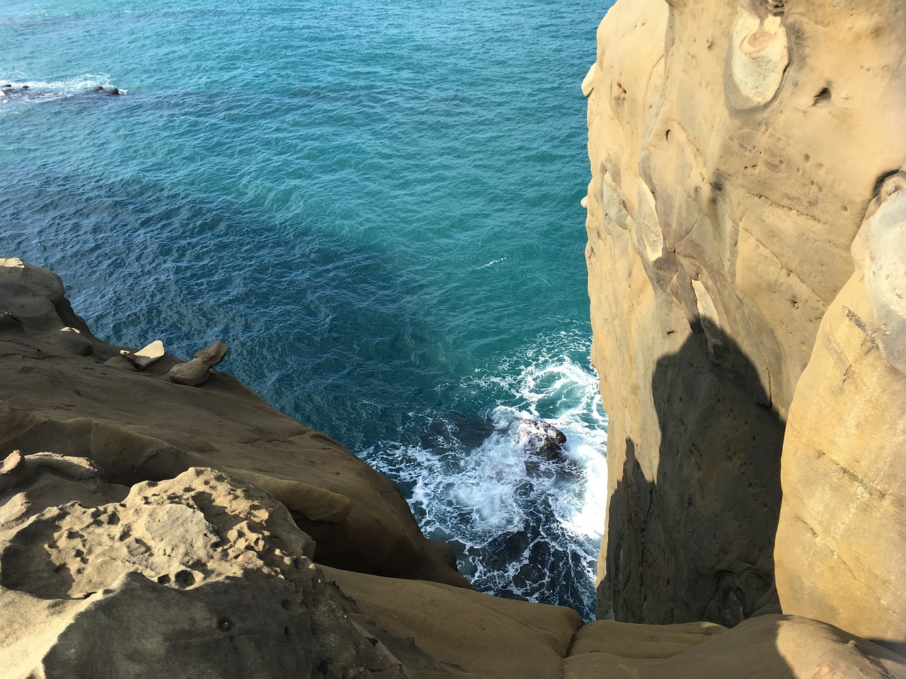 elephant trunk rock coast reef rock free photo