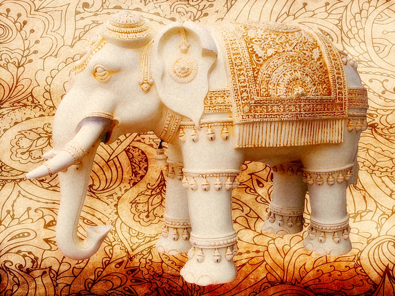 elephants indian decorated free photo