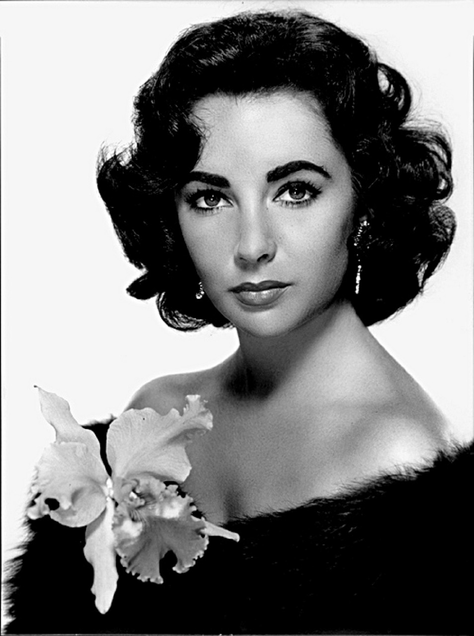 elizabeth taylor actress motion pictures free photo