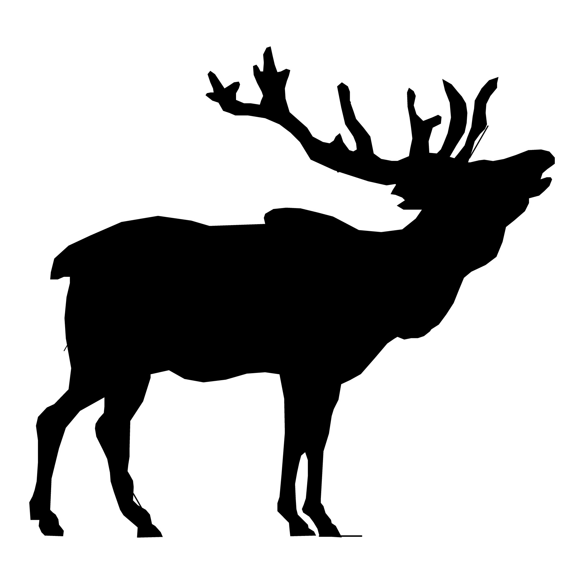 elk stag head free photo