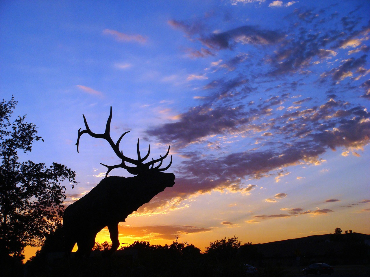 elk silhouette colorful sky landscape free photo