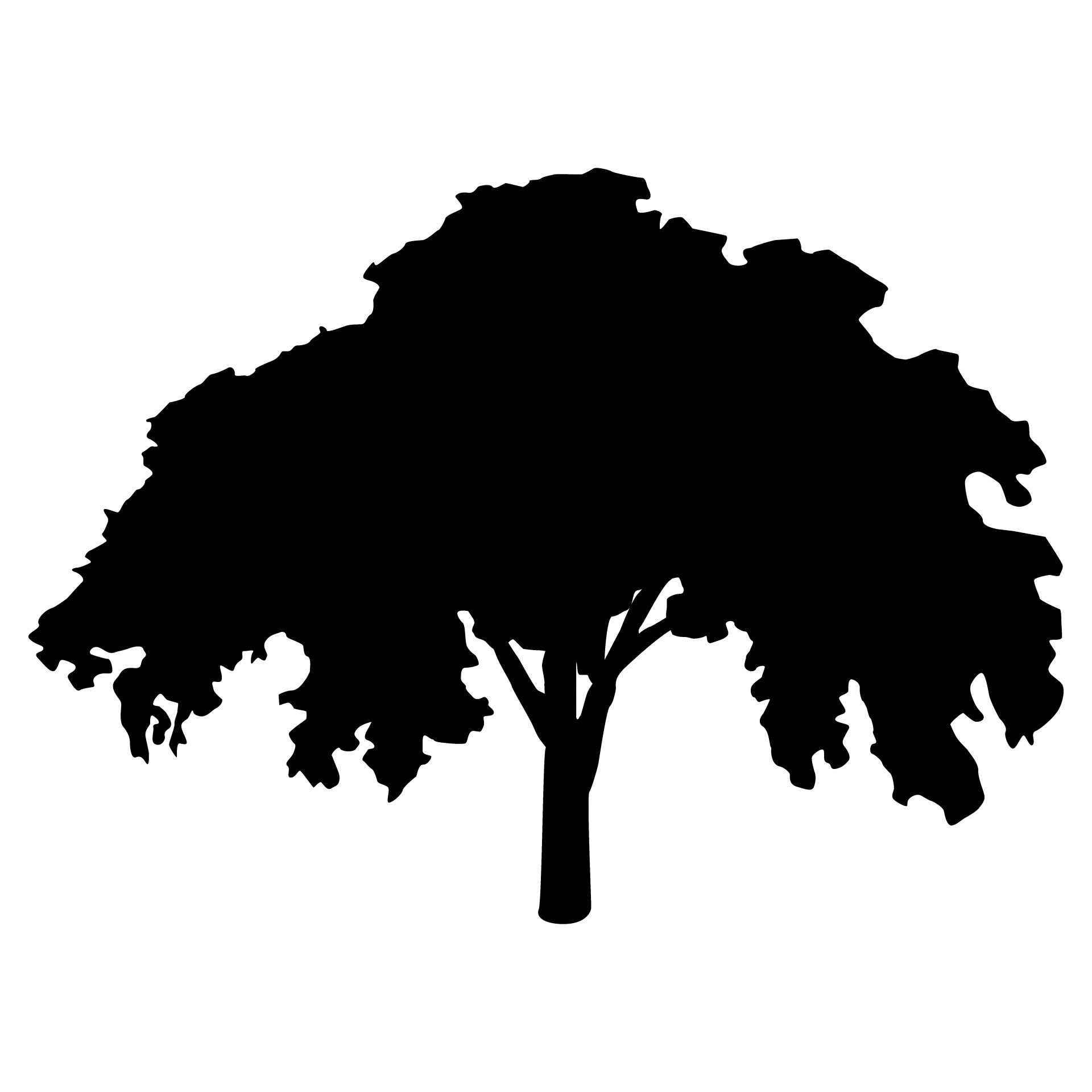 tree elm silhouette free photo