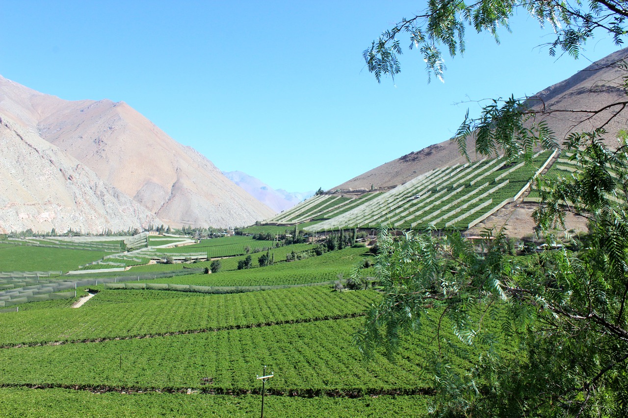 elqui valley chile people free photo