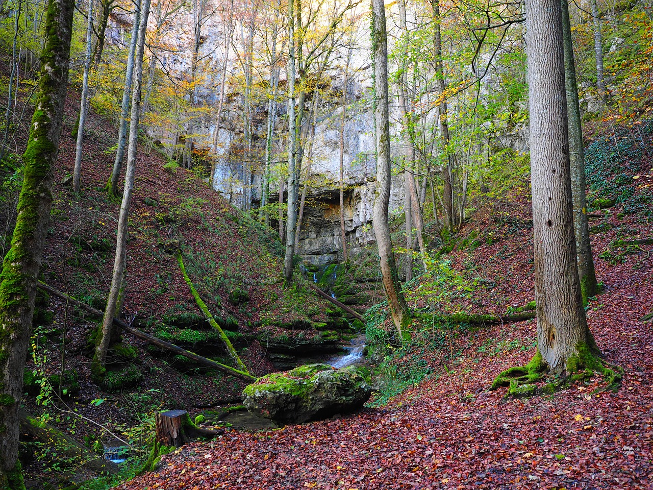 elsach river falkensteiner cave free photo