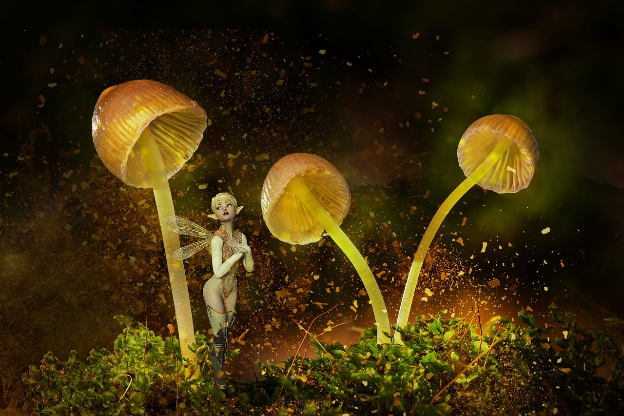 elves  mushrooms  mystical free photo