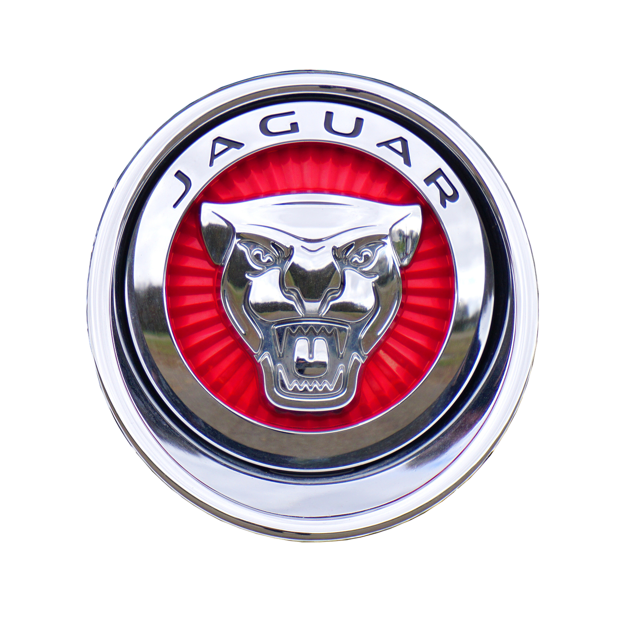 emblem jaguar england free photo