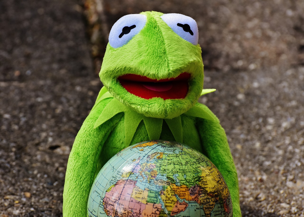 embrace the whole world kermit frog free photo