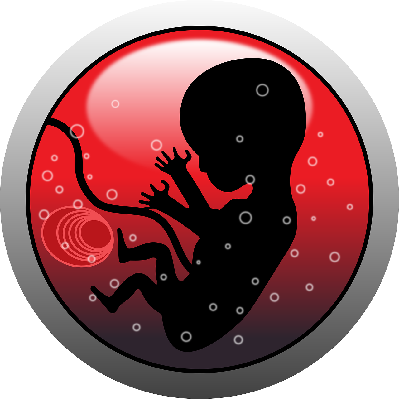 embryo human infant free photo