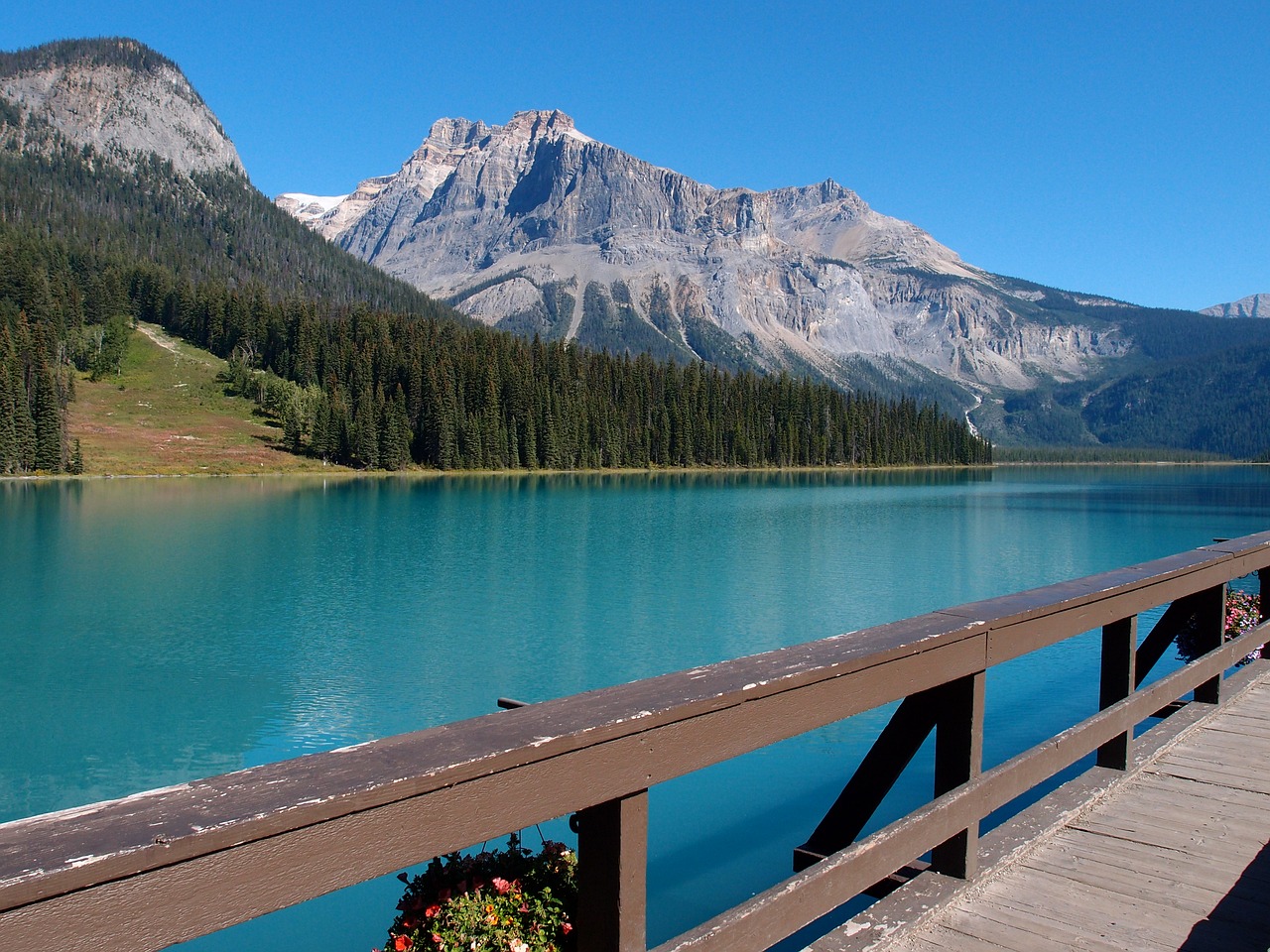 emerald lake yoho national park mountain free photo