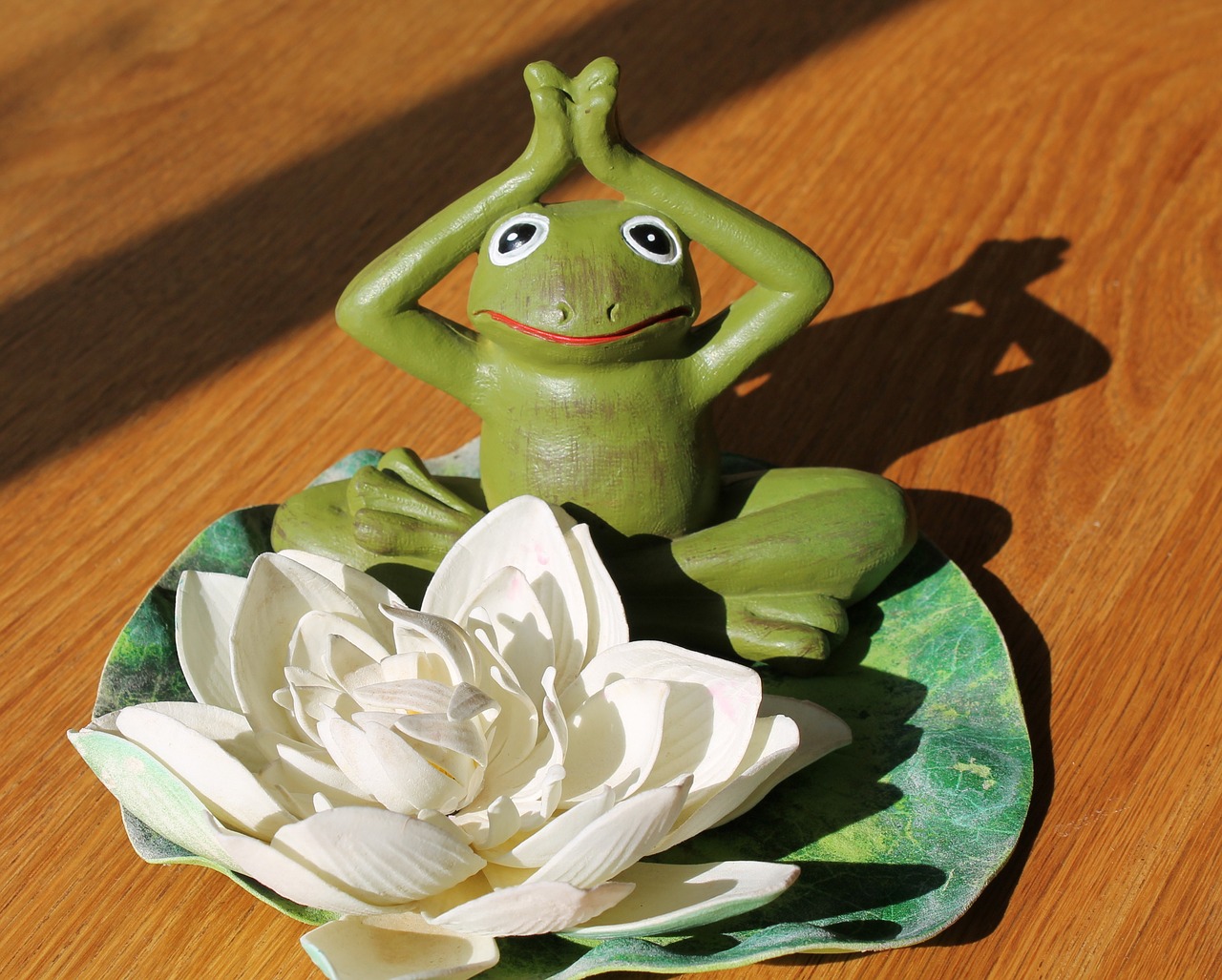 emotion yoga frog character free photo