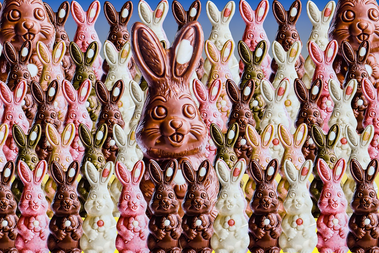 emotions easter easter bunny free photo