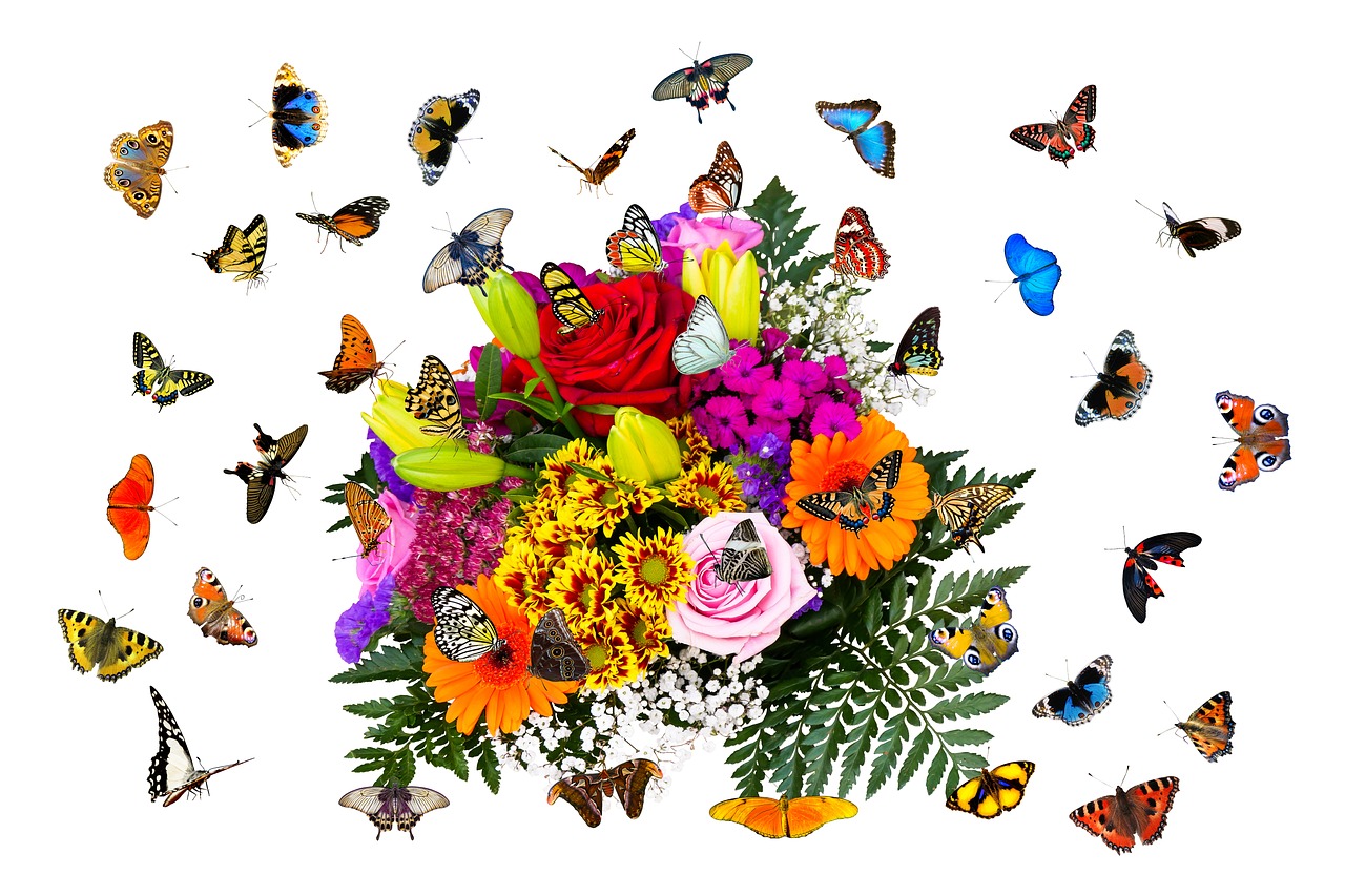 Живые бабочки с цветами. Бабочка на цветке. Букет и бабочка. Букет из бабочек. Красивый букет с бабочками.