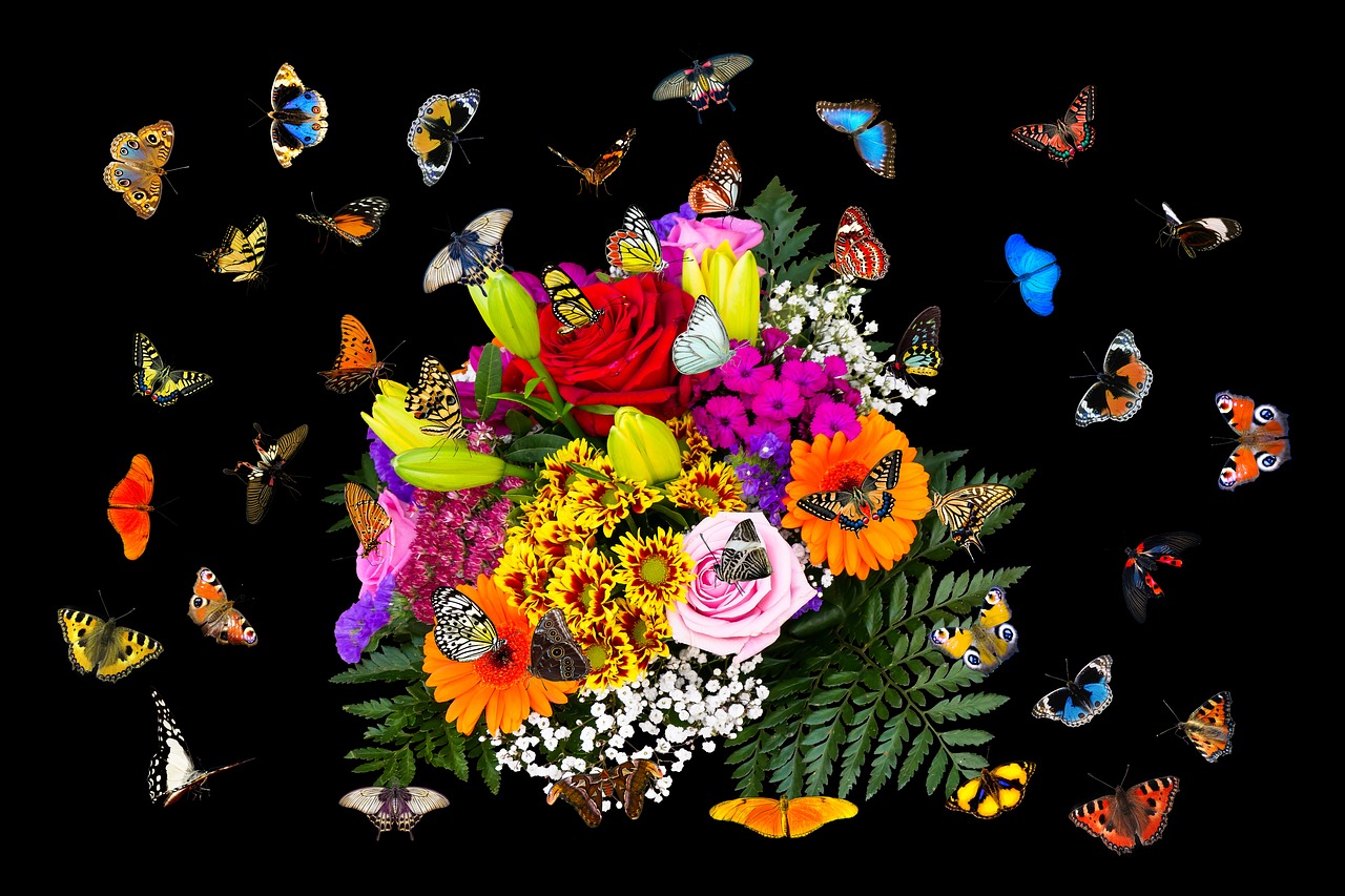 emotions flowers butterflies free photo