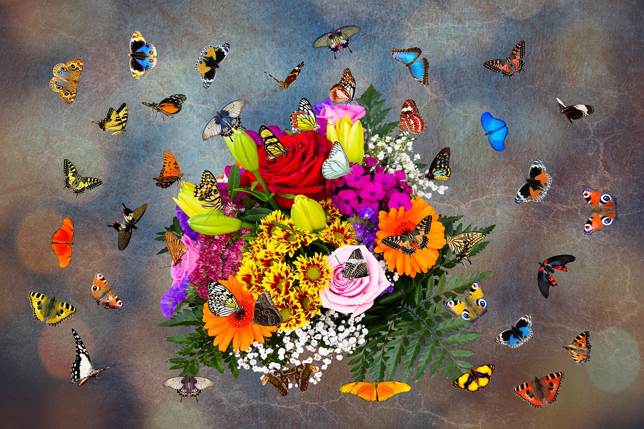 emotions  flowers  butterflies free photo