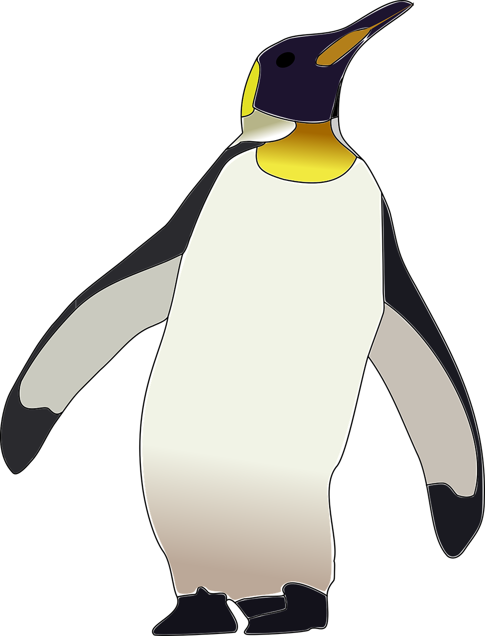 emperor penguin penguin bird free photo
