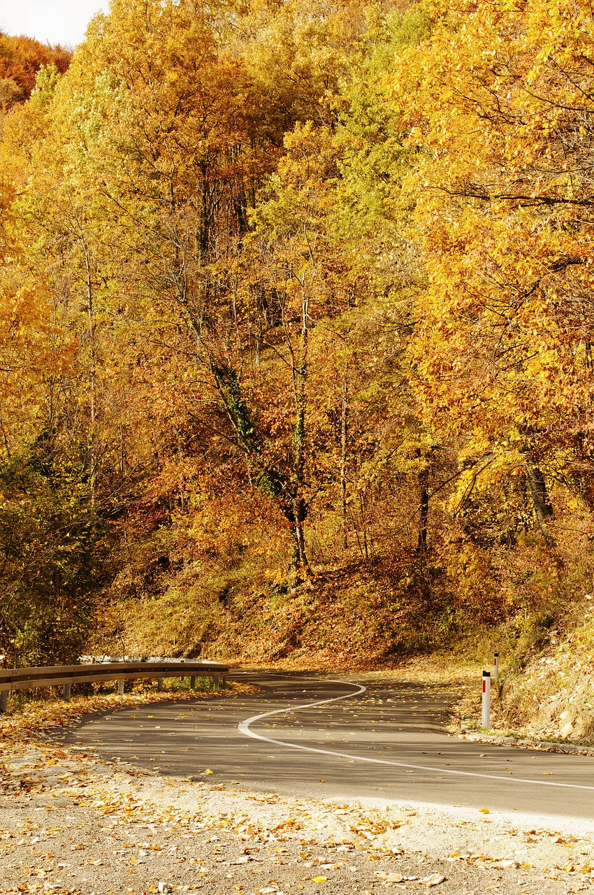 empty road autumn free photo