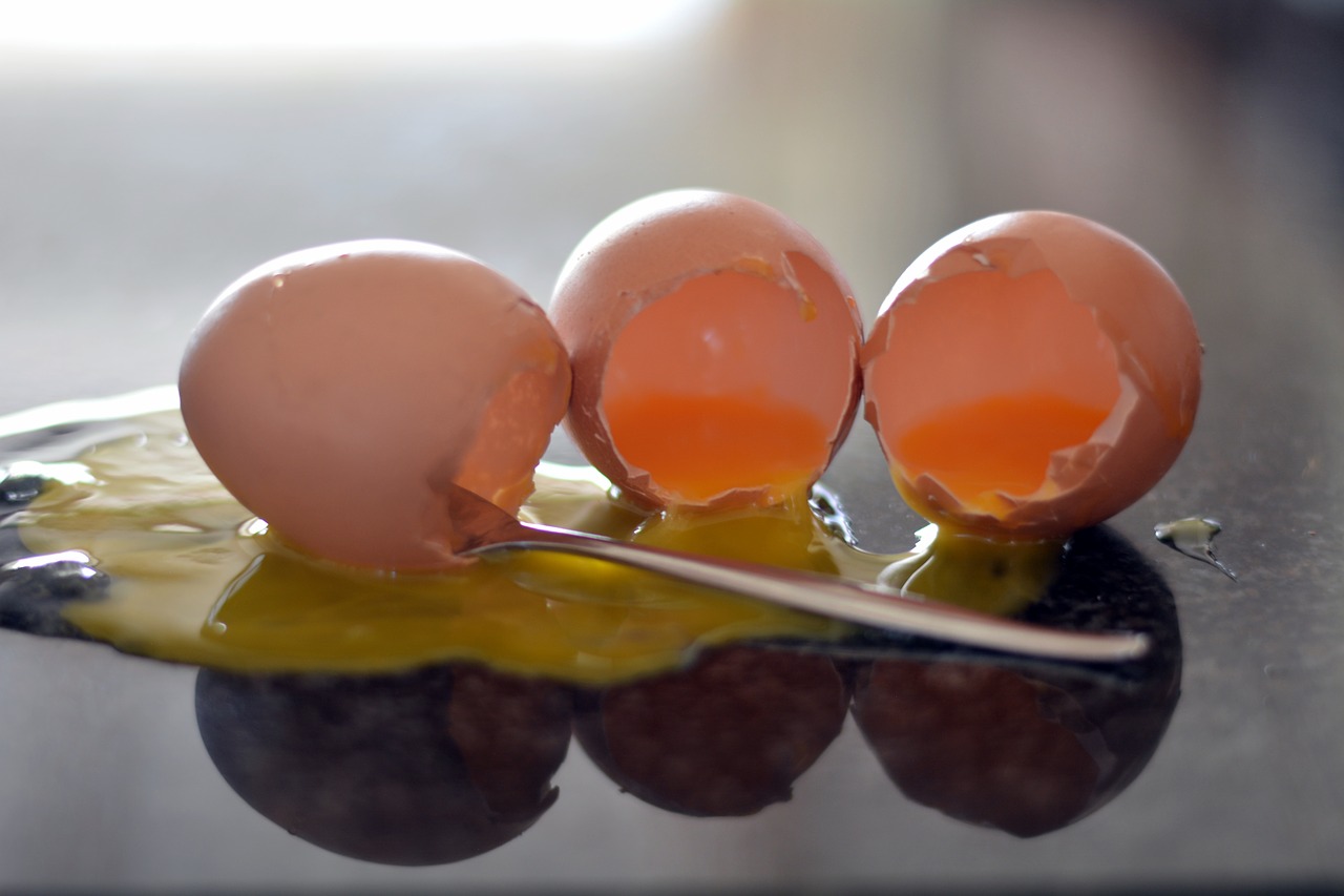 empty containers eggs yellow yolk free photo