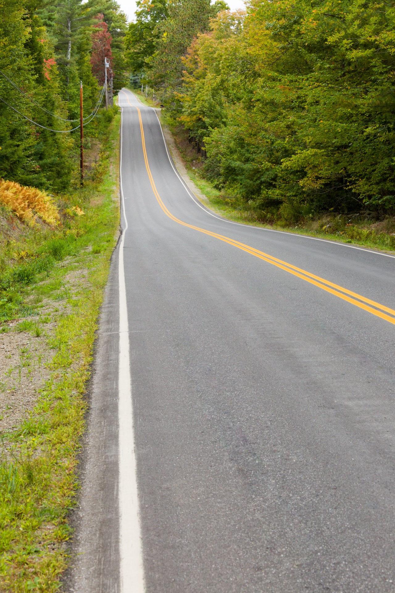 asphalt country curve free photo