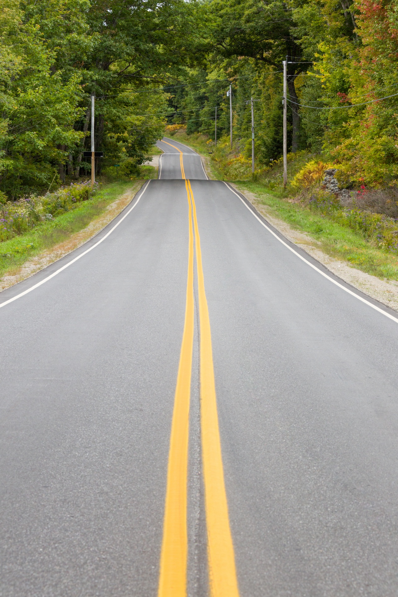 asphalt country curve free photo