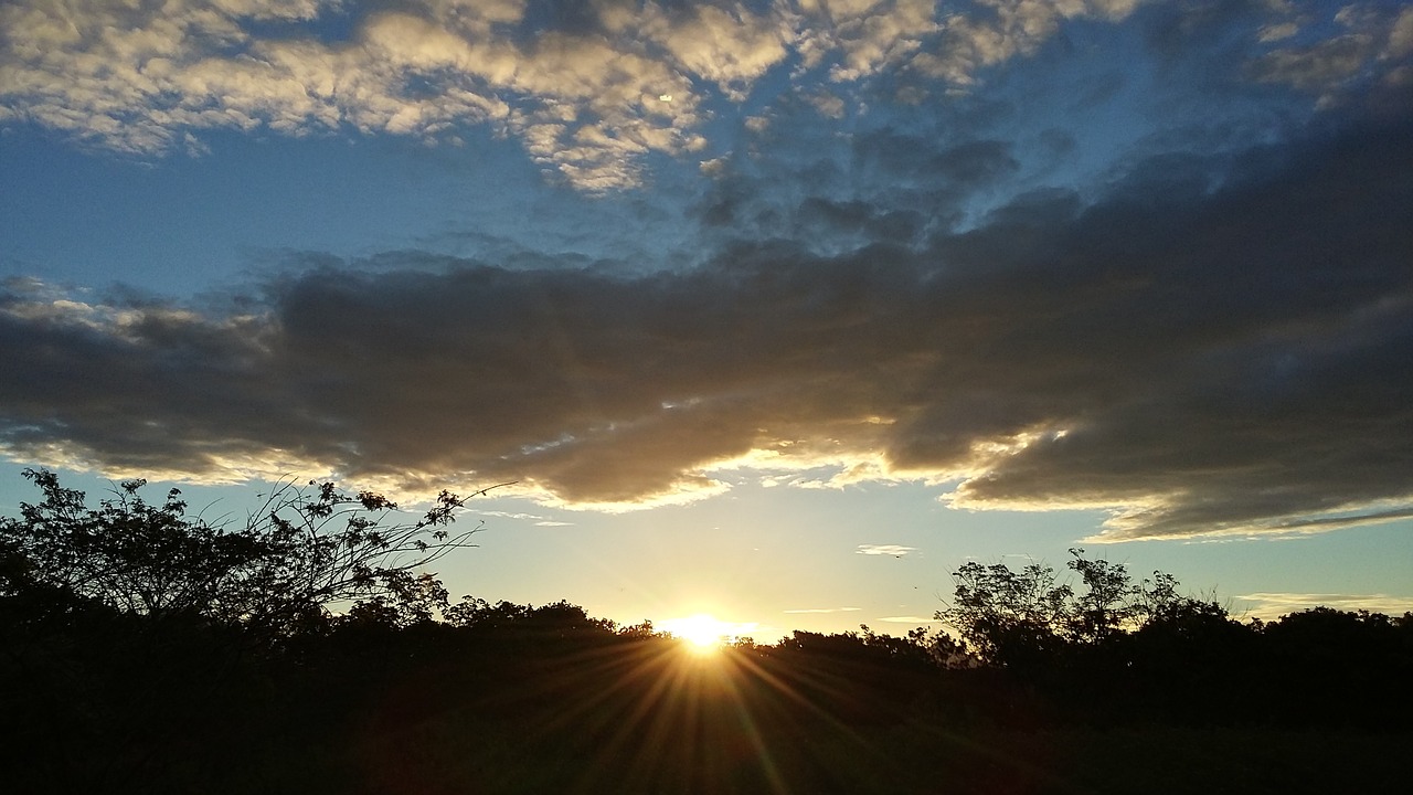 end of afternoon  sunset  nature free photo