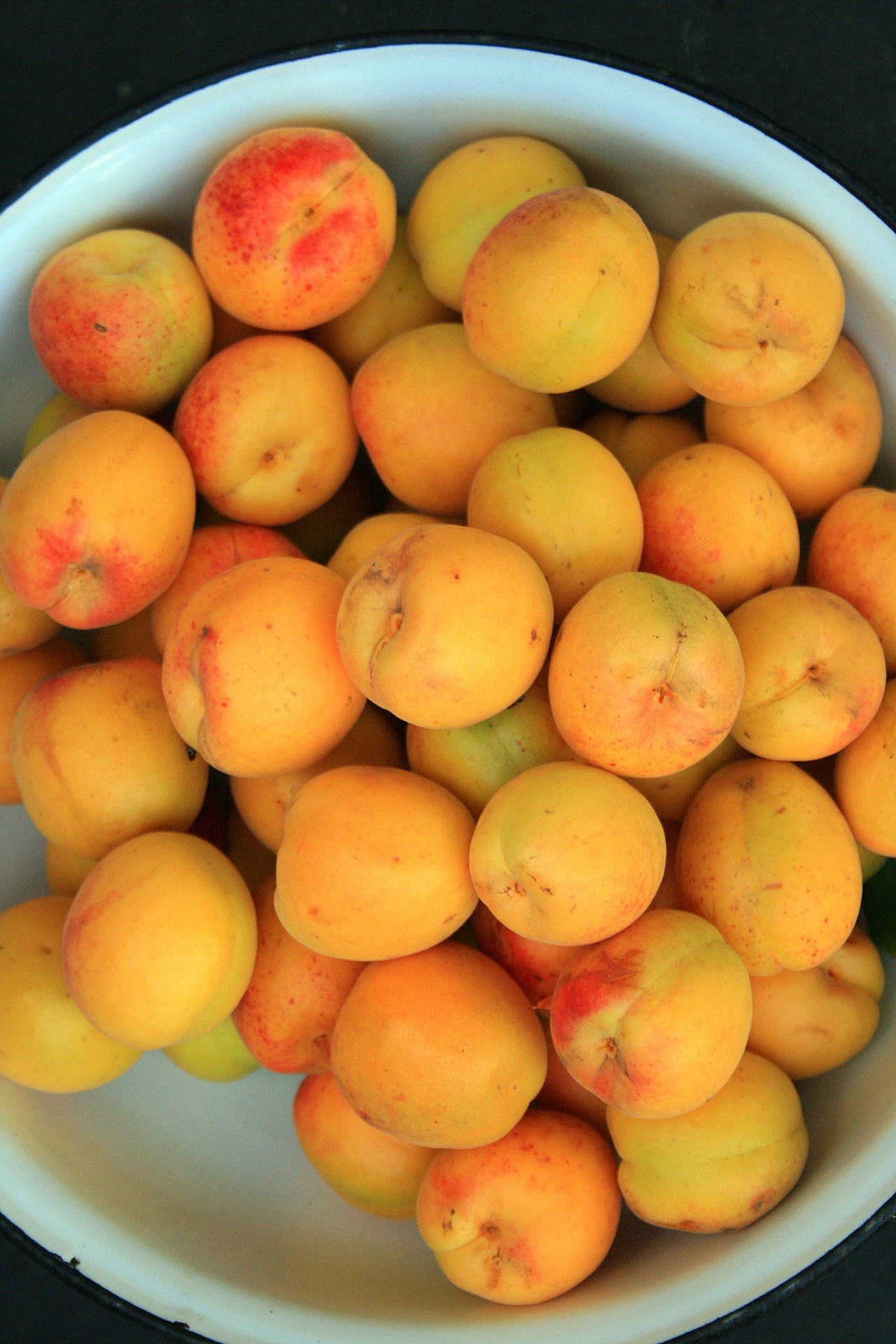 fruit apricots basin free photo