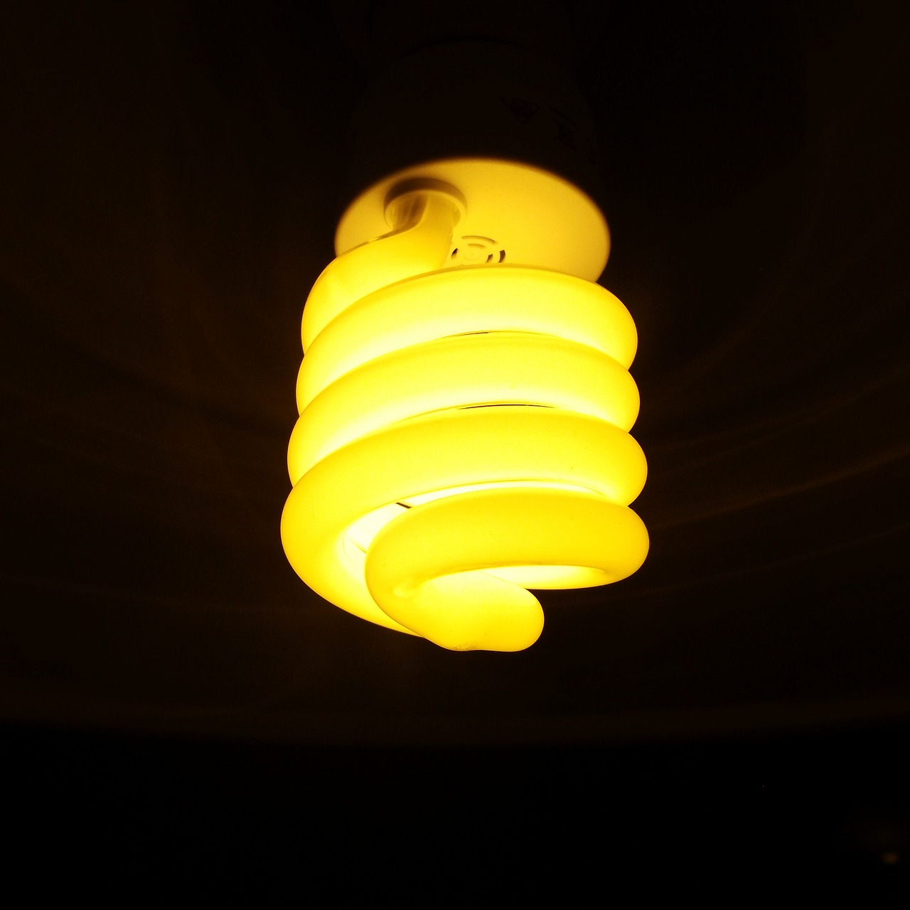 energiesparlampe light lighting free photo