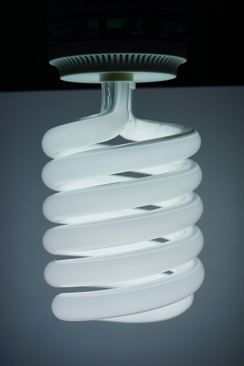 energiesparlampe lamp bulbs free photo