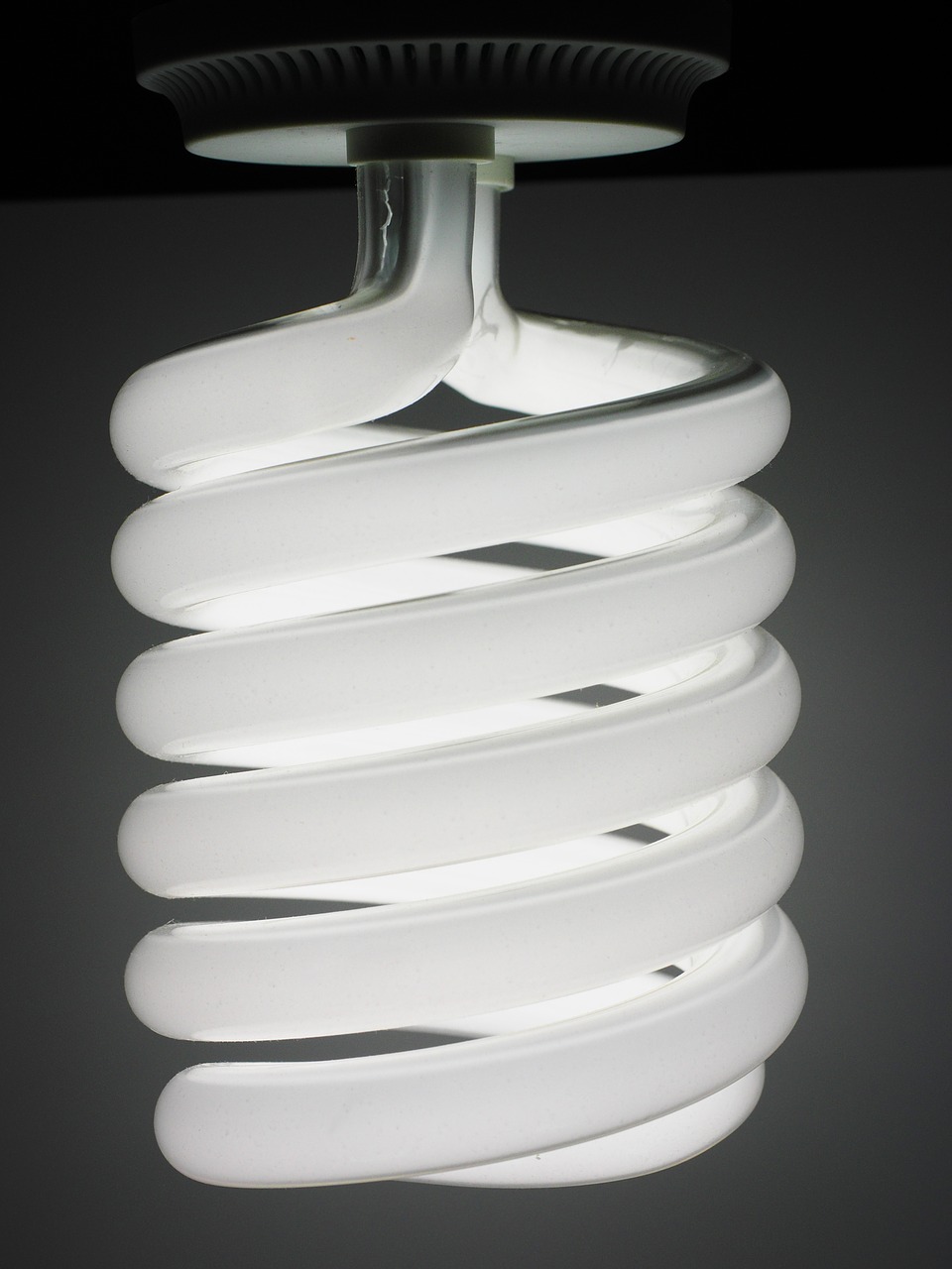 energiesparlampe lamp bulbs free photo