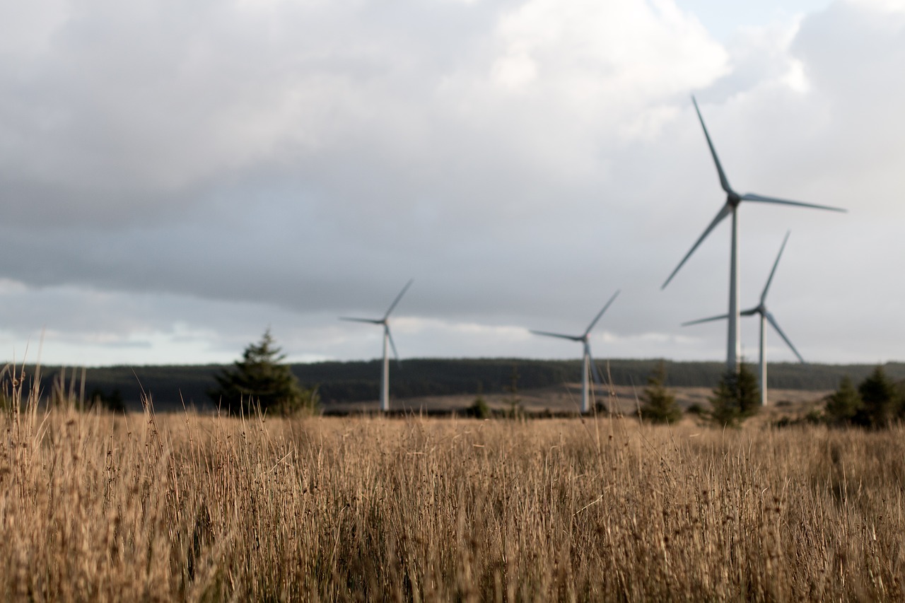 energy long grass turbines free photo