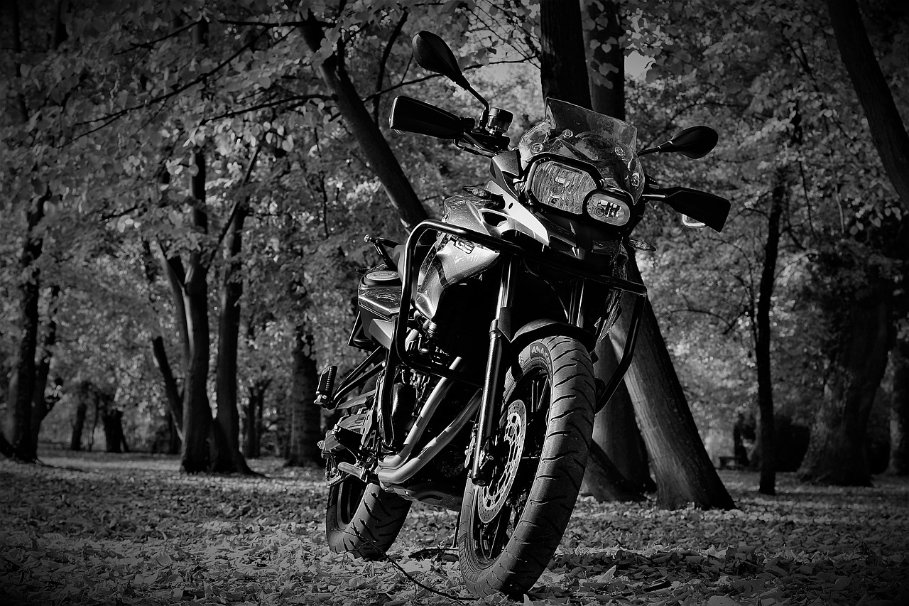 engine  bmw  f700gs free photo