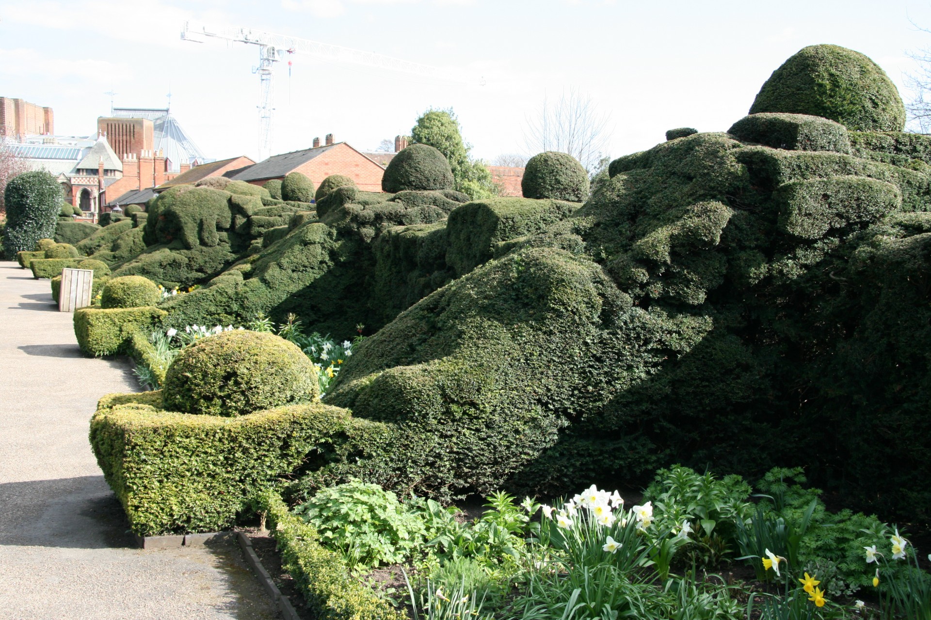 england garden hedges free photo