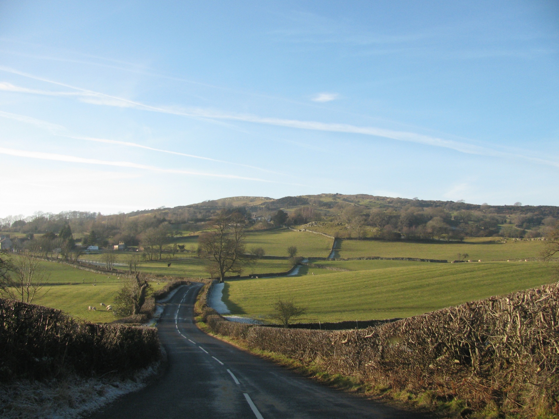 road country hedges free photo