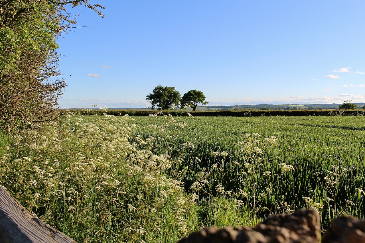 english countryside yorkshire moors english free photo