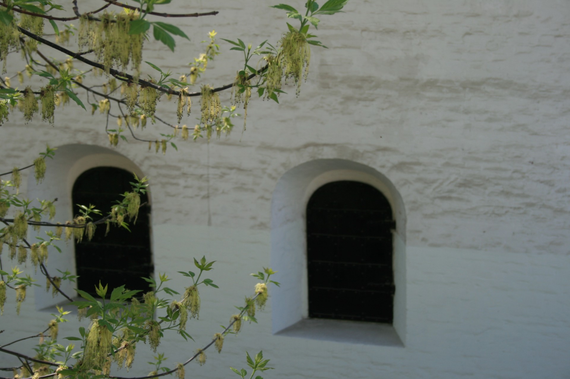 old english courthouse white building architecture free photo