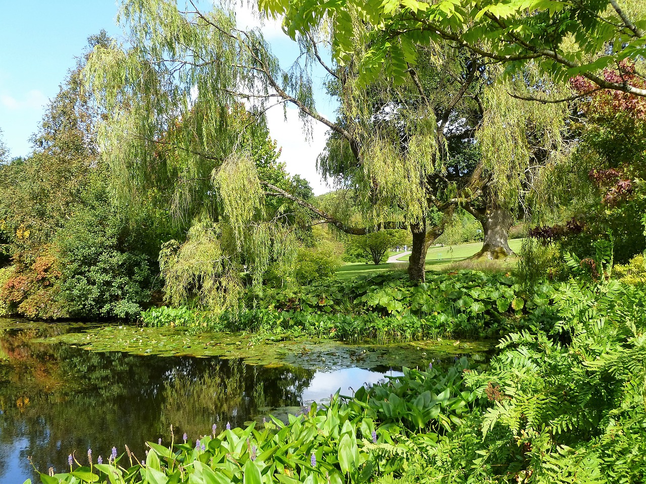 english garden water garden free photo