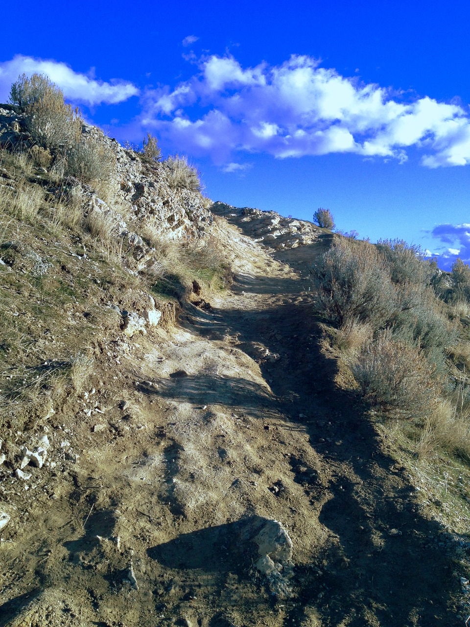 ensign peak pioneers free photo